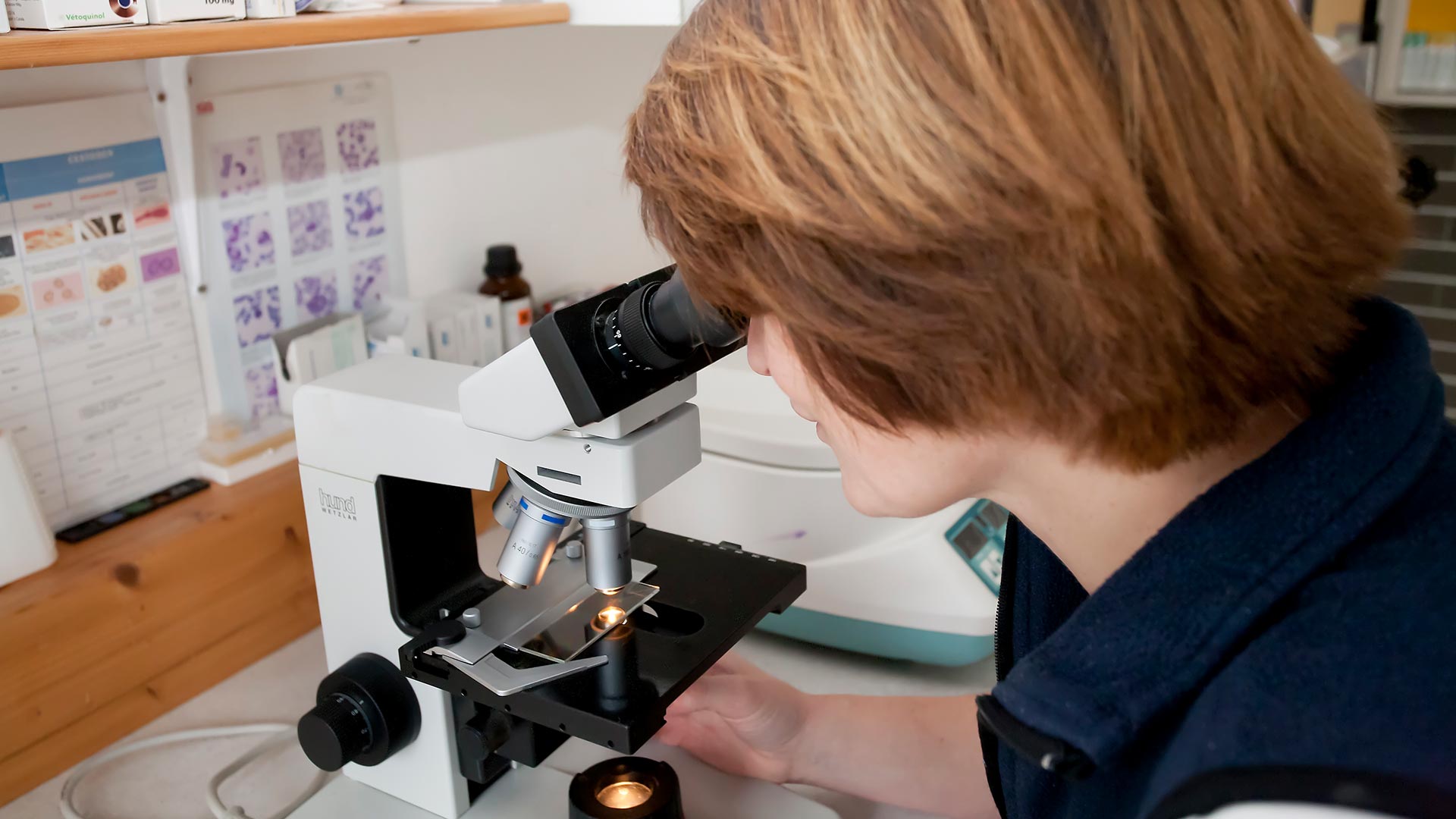 Leistungen beim Tierarzt